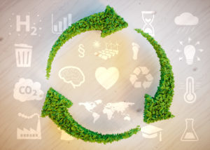 sustainability and recycling conscious business