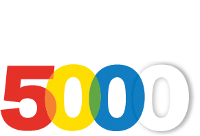 Inc 5000 Company Polymer Solutions PSI